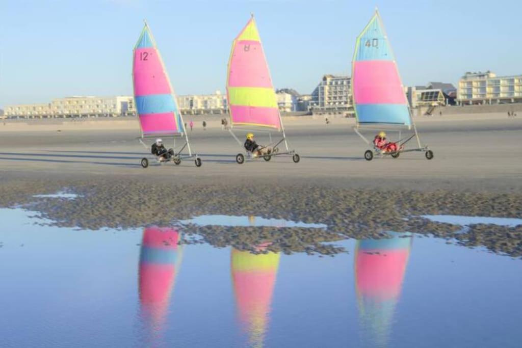 Ferienwohnung Cozy D'Opale Charmant T1 Bord De Mer Cour Privee Et Clot Wifi 3 Pers Animaux Acceptes Gratuit Berck Exterior foto