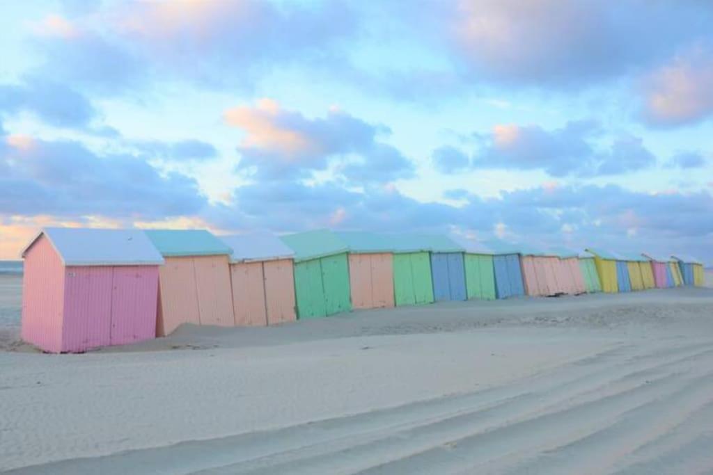 Ferienwohnung Cozy D'Opale Charmant T1 Bord De Mer Cour Privee Et Clot Wifi 3 Pers Animaux Acceptes Gratuit Berck Exterior foto